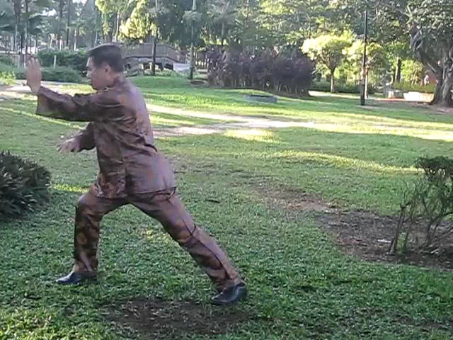 Wu Chuan You Style Taijiquan